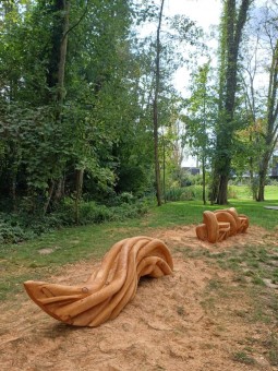 Systèmes racinaires